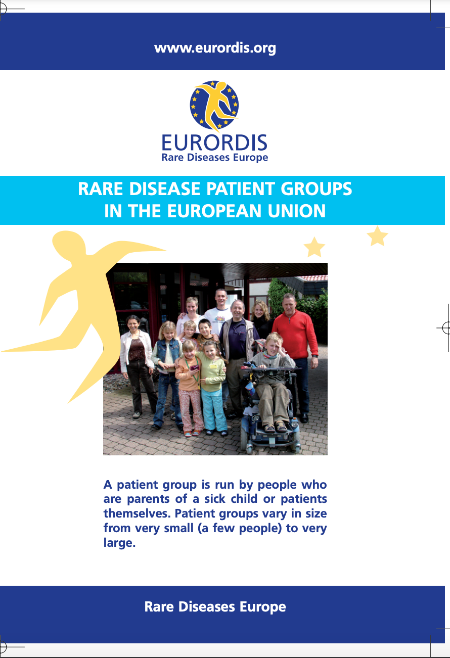 Rare disease patient groups in the European Union